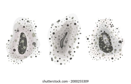 Black mold spots. Set of different shapes. Black fungus outbreak. Toxic mold spores. Bacterium and fungus, source of infection. Vector illustration, flat.