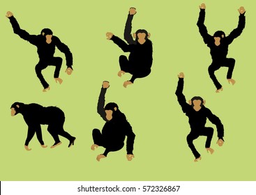 Black monkey set in different poses vector image