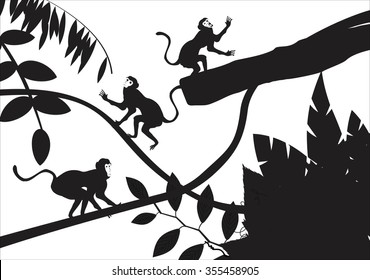  Black Monkeys playing among the tree branches, tree silhouettes, isolated on white
