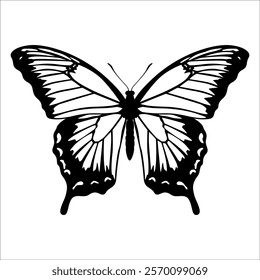 Black monochrome Butterfly Silhouette Vector illustration