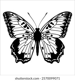 Black monochrome Butterfly Silhouette Vector illustration