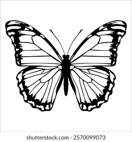 Black monochrome Butterfly Silhouette Vector illustration