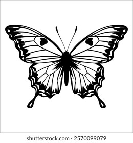 Black monochrome Butterfly Silhouette Vector illustration