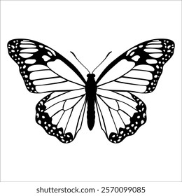 Black monochrome Butterfly Silhouette Vector illustration