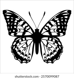 Black monochrome Butterfly Silhouette Vector illustration