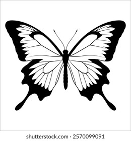 Black monochrome Butterfly Silhouette Vector illustration