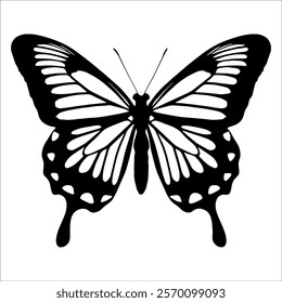 Black monochrome Butterfly Silhouette Vector illustration