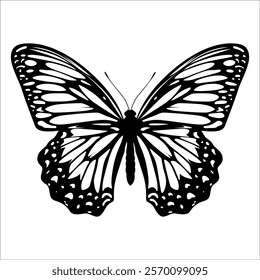 Black monochrome Butterfly Silhouette Vector illustration