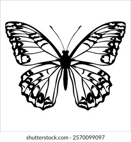 Black monochrome Butterfly Silhouette Vector illustration