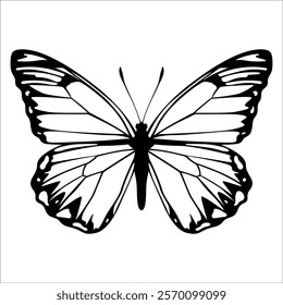 Black monochrome Butterfly Silhouette Vector illustration