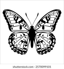 Black monochrome Butterfly Silhouette Vector illustration