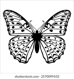 Black monochrome Butterfly Silhouette Vector illustration