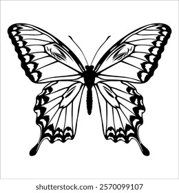 Black monochrome Butterfly Silhouette Vector illustration