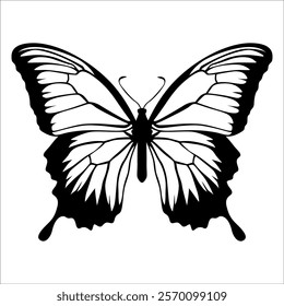 Black monochrome Butterfly Silhouette Vector illustration