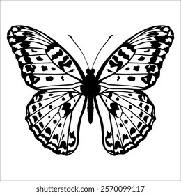 Black monochrome Butterfly Silhouette Vector illustration