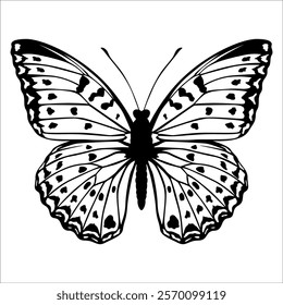 Black monochrome Butterfly Silhouette Vector illustration