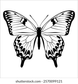 Black monochrome Butterfly Silhouette Vector illustration