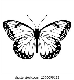 Black monochrome Butterfly Silhouette Vector illustration