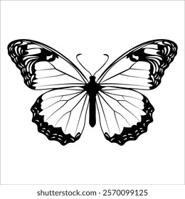 Black monochrome Butterfly Silhouette Vector illustration