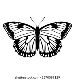 Black monochrome Butterfly Silhouette Vector illustration