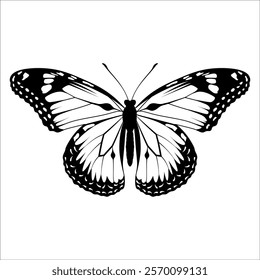 Black monochrome Butterfly Silhouette Vector illustration