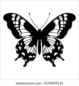 Black monochrome Butterfly Silhouette Vector illustration