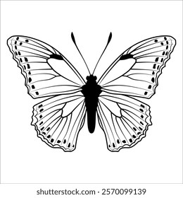 Black monochrome Butterfly Silhouette Vector illustration