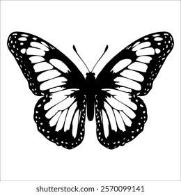 Black monochrome Butterfly Silhouette Vector illustration