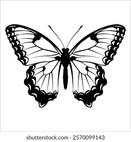 Black monochrome Butterfly Silhouette Vector illustration