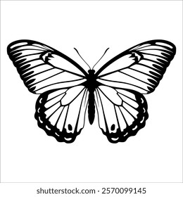 Black monochrome Butterfly Silhouette Vector illustration