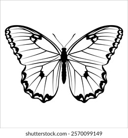 Black monochrome Butterfly Silhouette Vector illustration