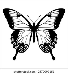 Black monochrome Butterfly Silhouette Vector illustration