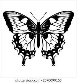 Black monochrome Butterfly Silhouette Vector illustration