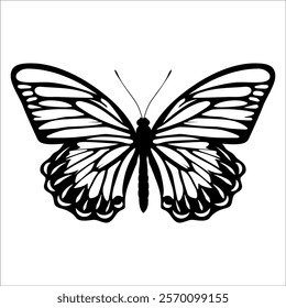 Black monochrome Butterfly Silhouette Vector illustration