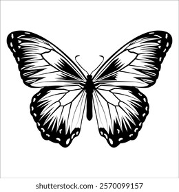 Black monochrome Butterfly Silhouette Vector illustration