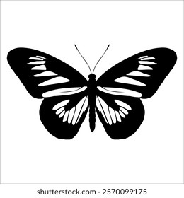 Black monochrome Butterfly Silhouette Vector illustration