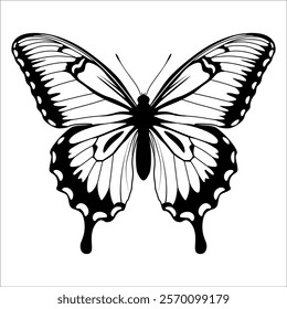 Black monochrome Butterfly Silhouette Vector illustration