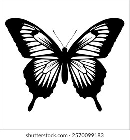 Black monochrome Butterfly Silhouette Vector illustration