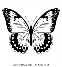 Black monochrome Butterfly Silhouette Vector illustration