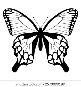 Black monochrome Butterfly Silhouette Vector illustration