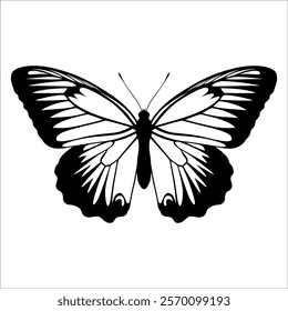 Black monochrome Butterfly Silhouette Vector illustration