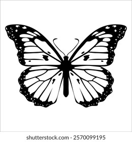 Black monochrome Butterfly Silhouette Vector illustration