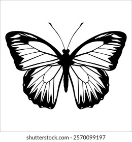 Black monochrome Butterfly Silhouette Vector illustration