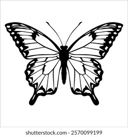 Black monochrome Butterfly Silhouette Vector illustration