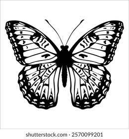 Black monochrome Butterfly Silhouette Vector illustration