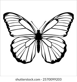 Black monochrome Butterfly Silhouette Vector illustration