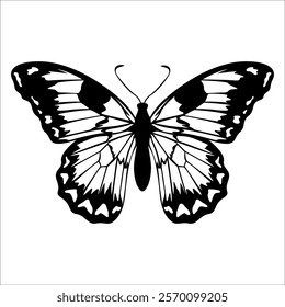 Black monochrome Butterfly Silhouette Vector illustration