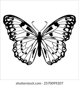 Black monochrome Butterfly Silhouette Vector illustration