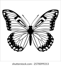 Black monochrome Butterfly Silhouette Vector illustration