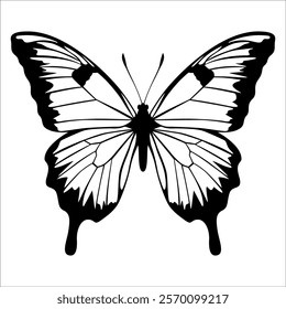 Black monochrome Butterfly Silhouette Vector illustration